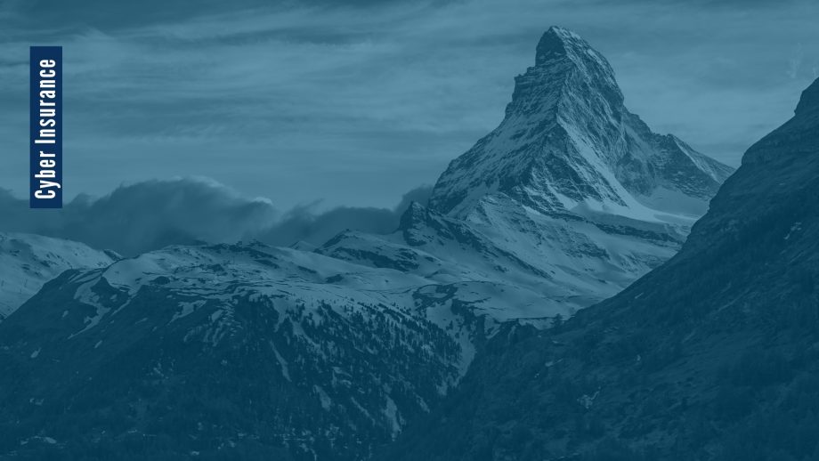 Cyber Insurance: Rewarding Things to Know