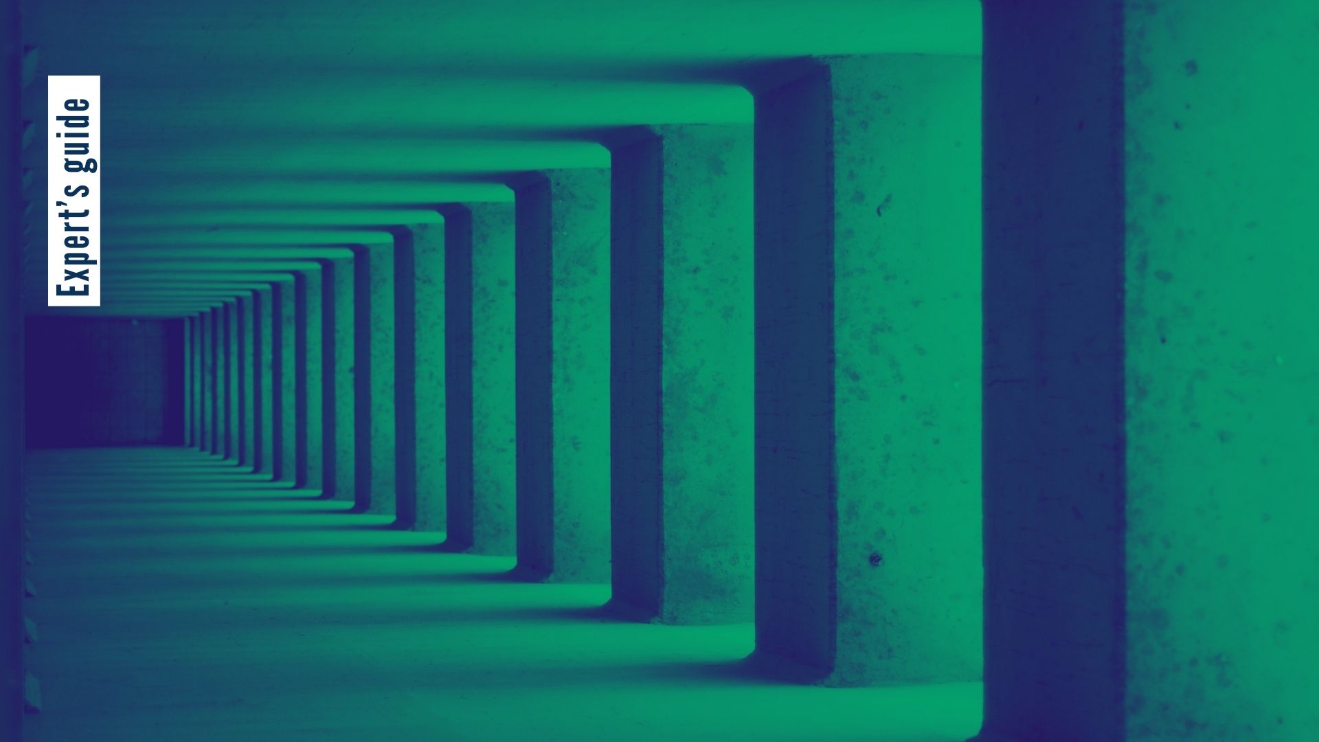 Integrated Risk Management: the Expert’s Guide Data Security Management