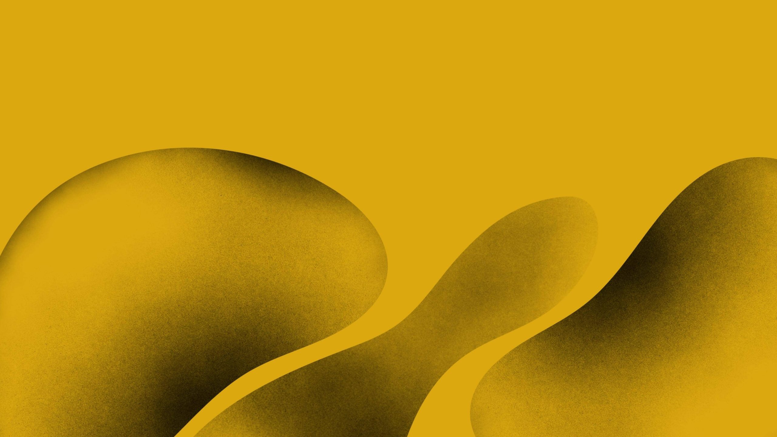 What is a Zero-day Exploit